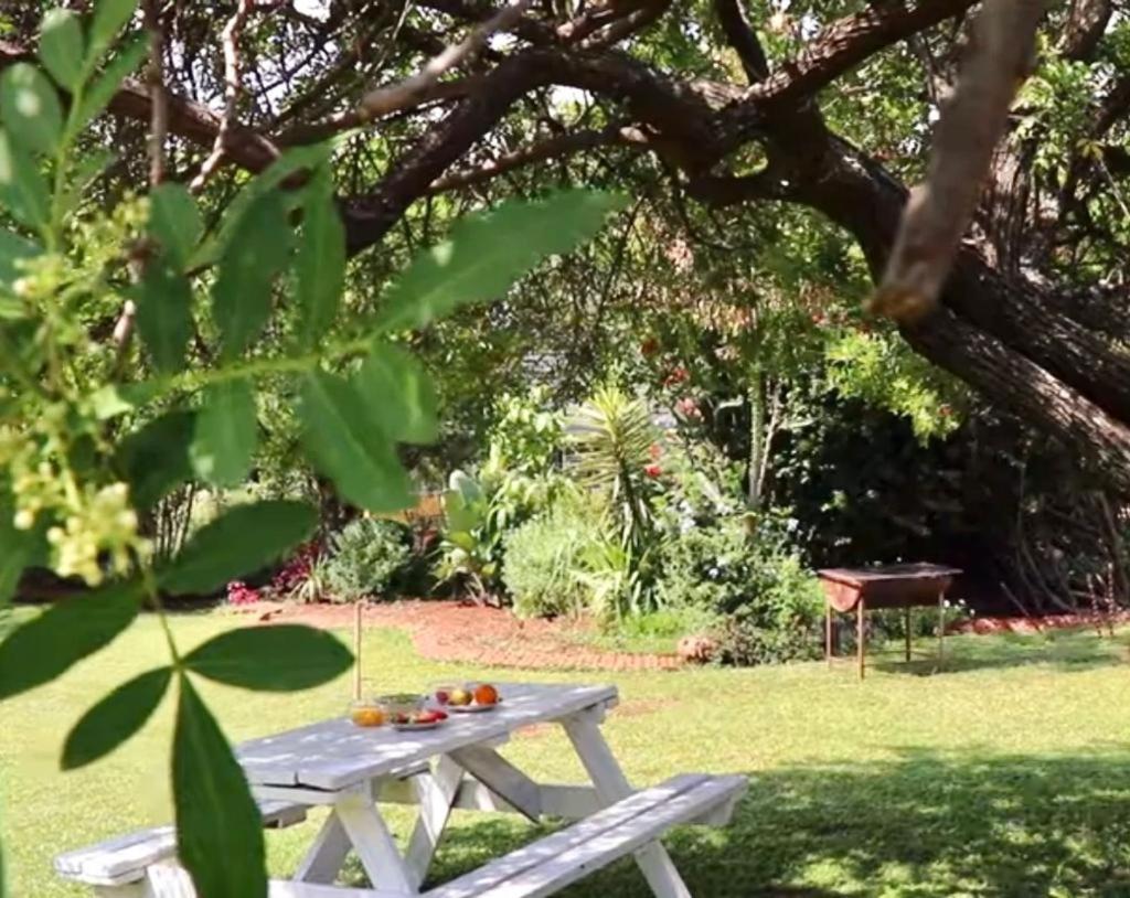 Choice Backpackers Lodge Bulawayo Kültér fotó